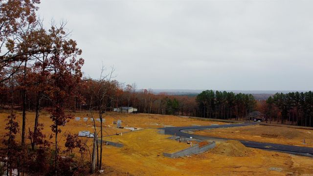 LOT 2 COAL MOUNTAIN ROAD, El Paso, AR 72045