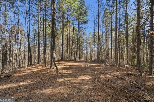 120 Twisted Pines Crossing, Dahlonega, GA 30533