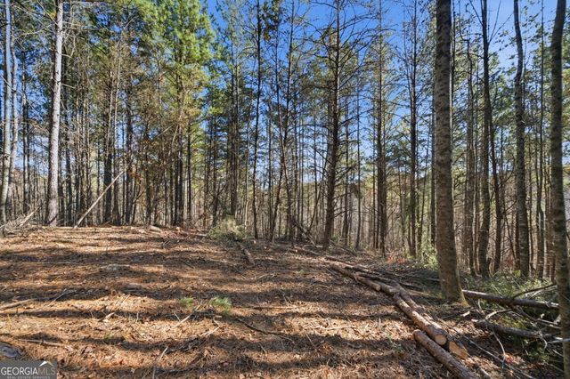 120 Twisted Pines Crossing, Dahlonega, GA 30533