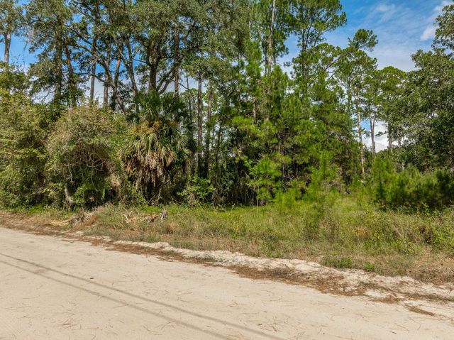 Lot 20 River Drive, Panacea, FL 32346