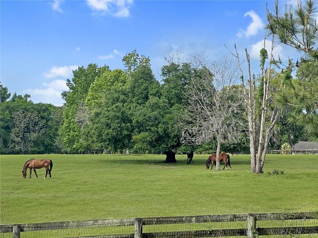 5378 W HIGHWAY 329, Reddick, FL 32686