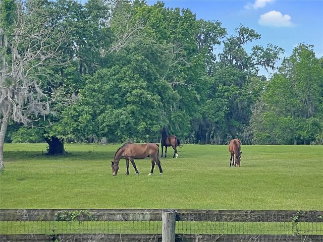 5378 W HIGHWAY 329, Reddick, FL 32686