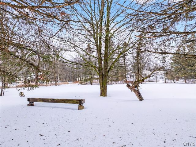 10346 Adirondack View, Marcy, NY 13502