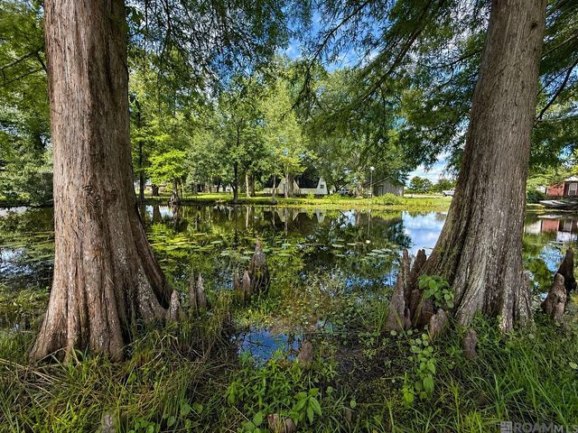 39315 David Dr, Prairieville, LA 70769