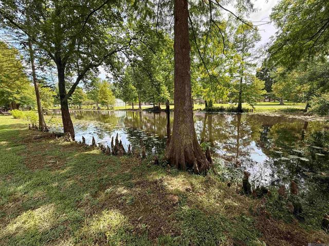 39315 David Dr, Prairieville, LA 70769