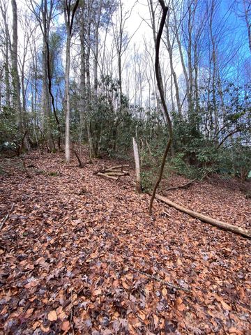 000 Waterford Place, Brevard, NC 28712