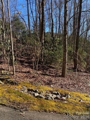 000 Waterford Place, Brevard, NC 28712