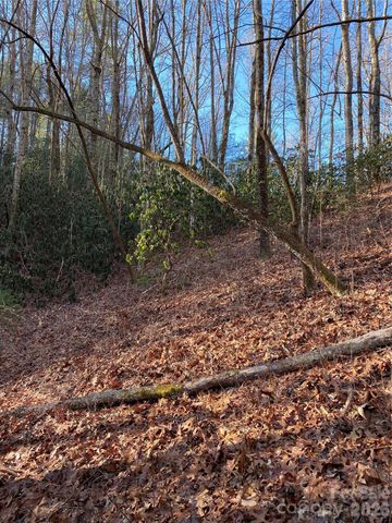 000 Waterford Place, Brevard, NC 28712