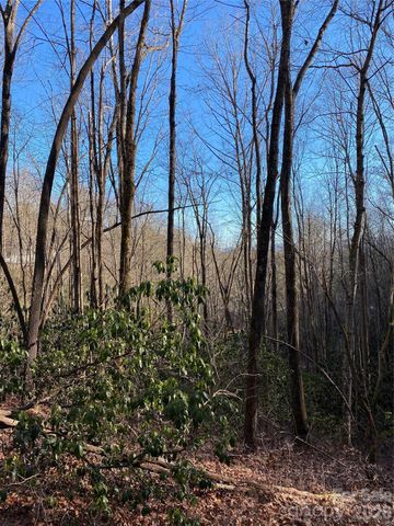 000 Waterford Place, Brevard, NC 28712