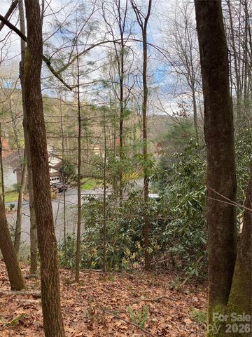 000 Waterford Place, Brevard, NC 28712