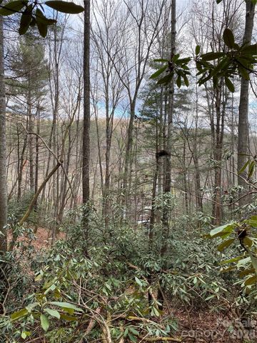 000 Waterford Place, Brevard, NC 28712