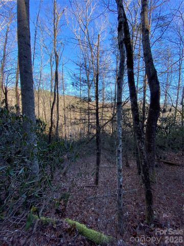 000 Waterford Place, Brevard, NC 28712