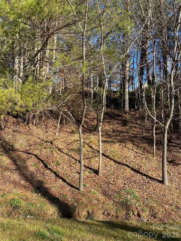 000 Waterford Place, Brevard, NC 28712