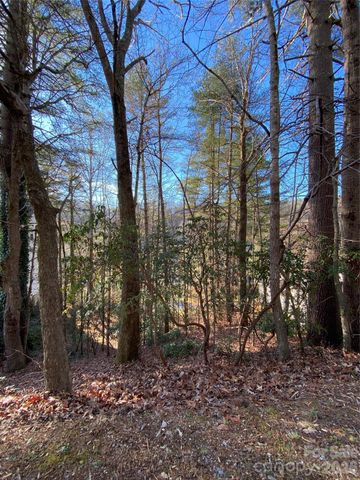000 Waterford Place, Brevard, NC 28712