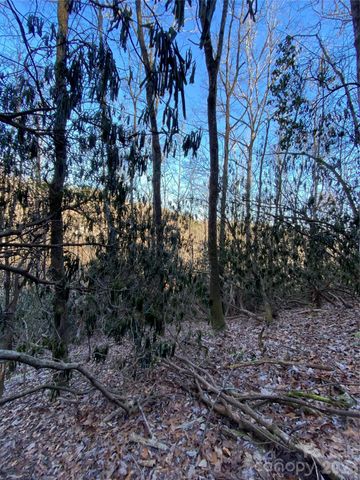 000 Waterford Place, Brevard, NC 28712