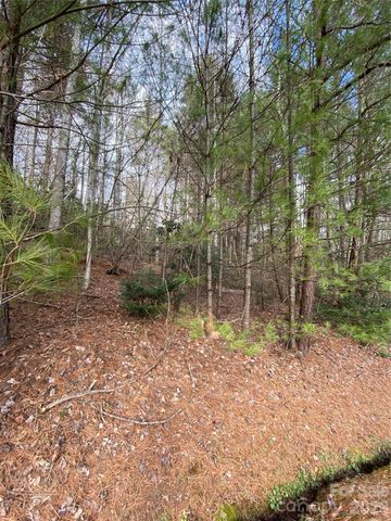 000 Waterford Place, Brevard, NC 28712