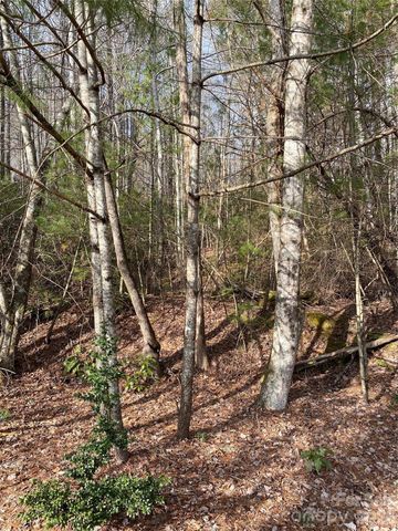 000 Waterford Place, Brevard, NC 28712