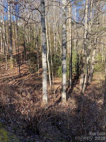 000 Waterford Place, Brevard, NC 28712