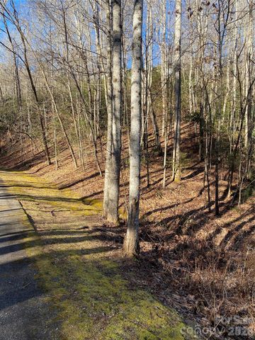 000 Waterford Place, Brevard, NC 28712