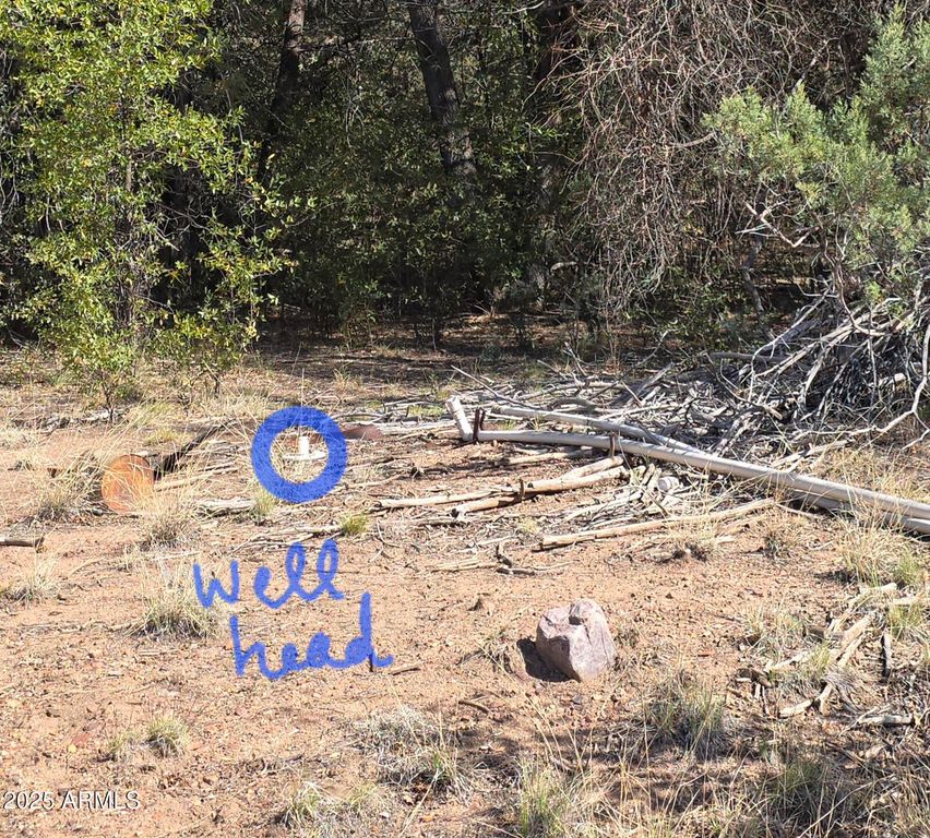 16E Naegelin Crossing 2A, Young, AZ 85554