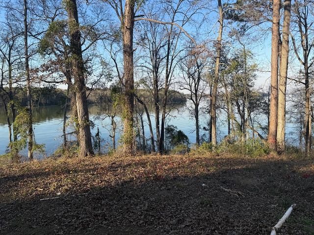 51 Memory Lane, Eufaula, AL 36027
