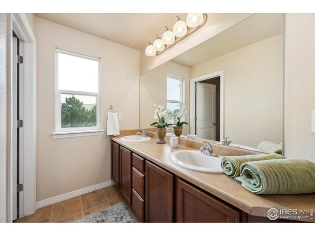 7401 Pimlico Dr, Windsor, CO 80550