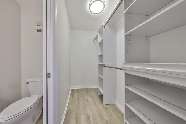 8616 PALM LANE, Temple Terrace, FL 33637