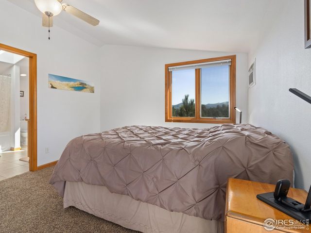 131 Willowstone Ct, Estes Park, CO 80517