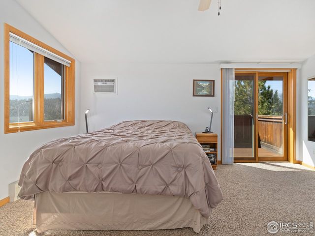 131 Willowstone Ct, Estes Park, CO 80517