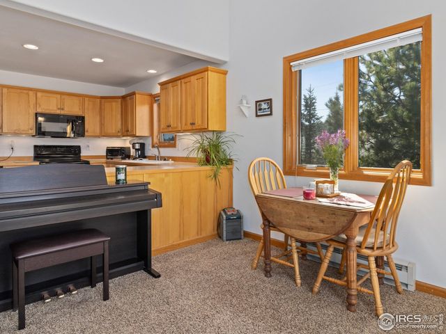 131 Willowstone Ct, Estes Park, CO 80517