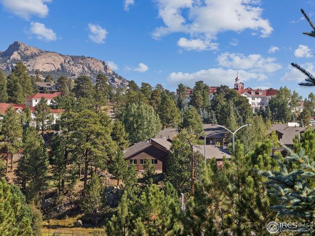 131 Willowstone Ct, Estes Park, CO 80517