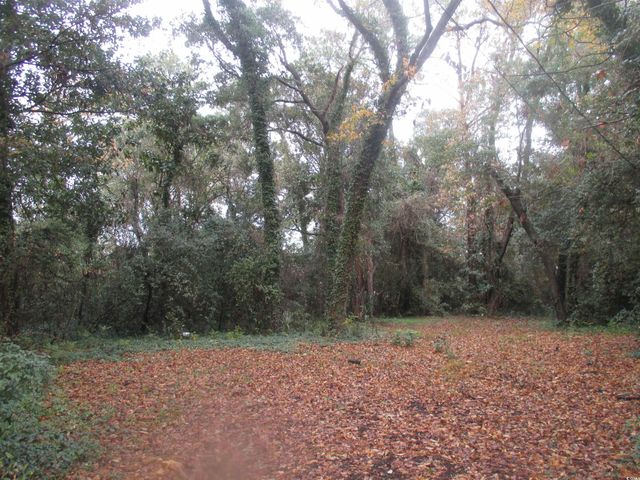 410 14th Ave. N, Surfside Beach, SC 29575