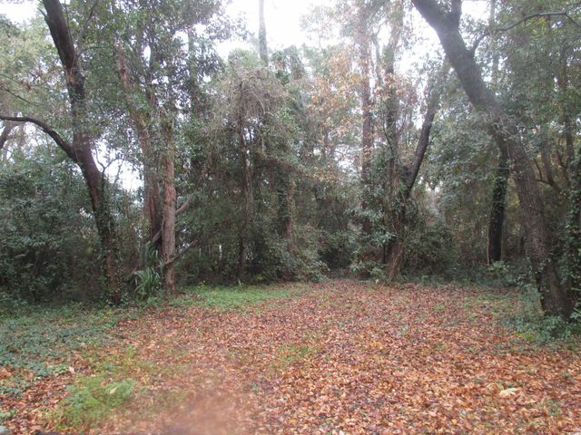 410 14th Ave. N, Surfside Beach, SC 29575