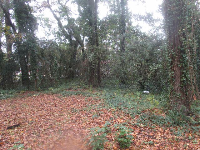 410 14th Ave. N, Surfside Beach, SC 29575