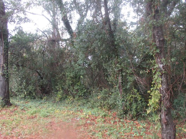 410 14th Ave. N, Surfside Beach, SC 29575