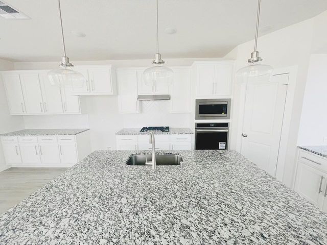 20906 Tortoise Shell Way, Cypress, TX 77433