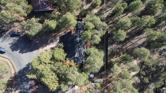 4679 BIG PINE Drive, Lakeside, AZ 85929