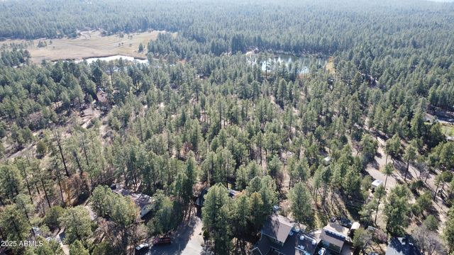 4679 BIG PINE Drive, Lakeside, AZ 85929