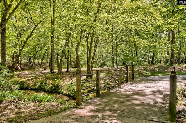 728 Feldspar Court, Chapin, SC 29036
