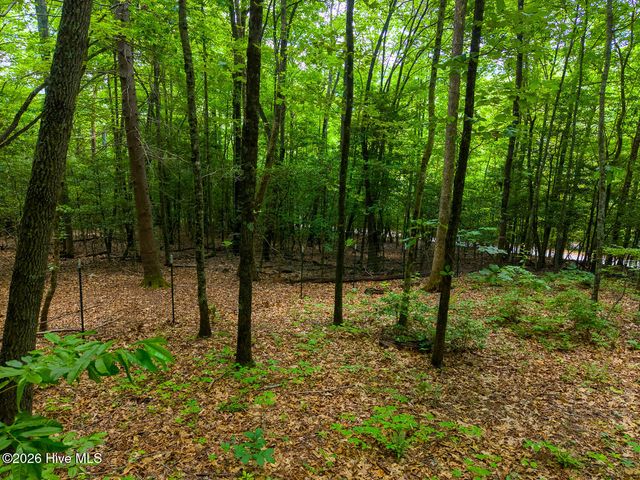 243 Jonquil Woods Road, Franklin, NC 28734