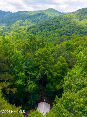 243 Jonquil Woods Road, Franklin, NC 28734