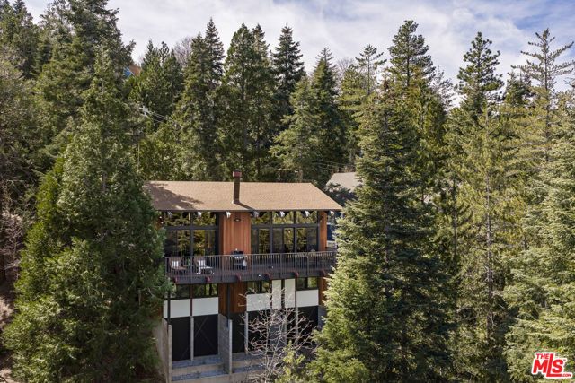 287 Grizzly Road, Lake Arrowhead, CA 92352