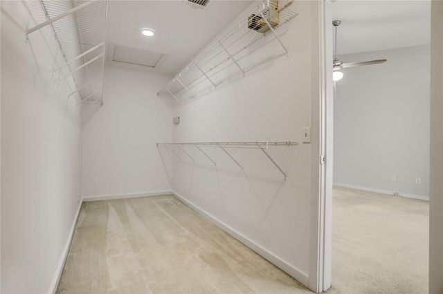 910 Ruthven Street, Houston, TX 77019
