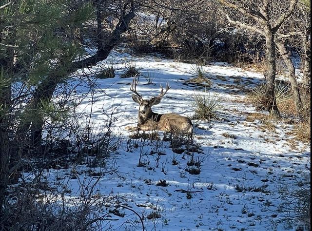 13333 Stonewall Parallel Rd., Weston, CO 81091