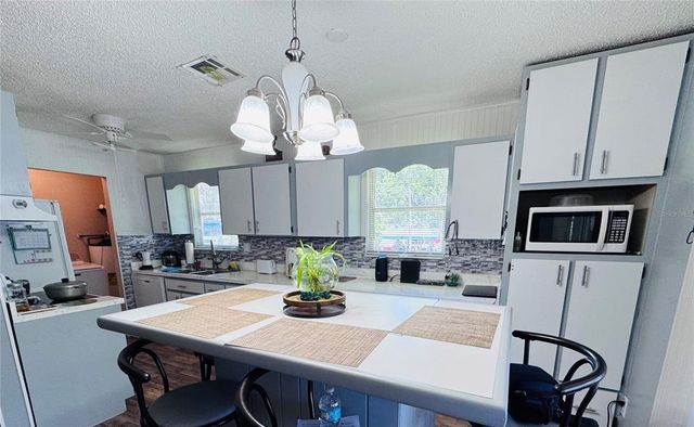 2073 CR 428, Lake Panasoffkee, FL 33538