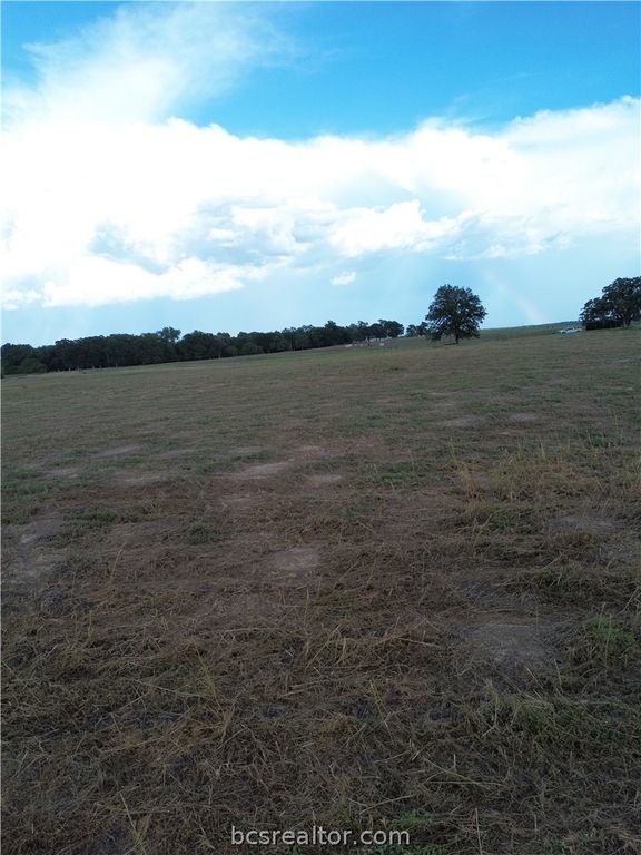 0 Grant Prairie Rd, Franklin, TX 77856 — photo 2
