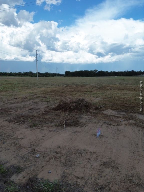 0 Grant Prairie Rd, Franklin, TX 77856 — photo 4