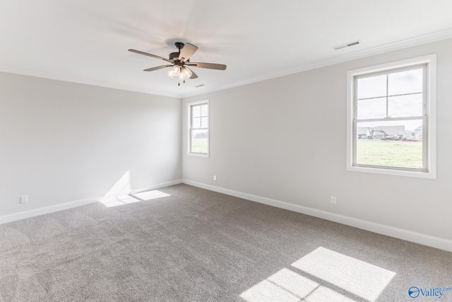 151 Brier View Drive, Meridianville, AL 35759