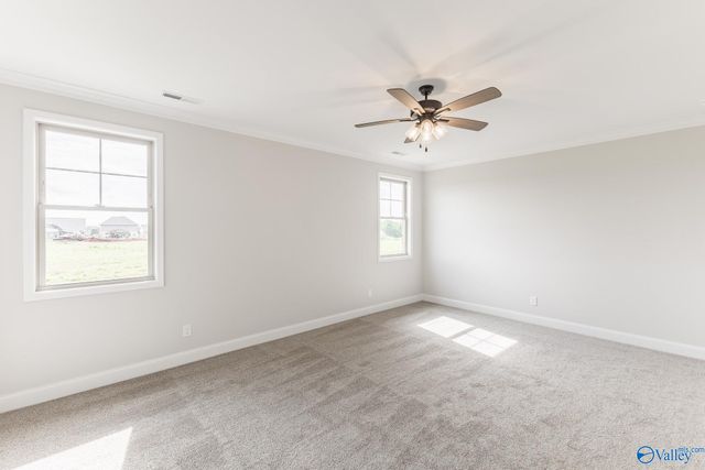 151 Brier View Drive, Meridianville, AL 35759