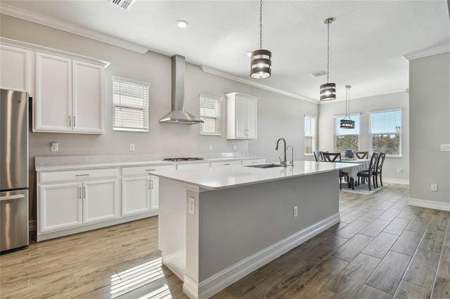 21291 SNOWY ORCHID TERRACE, Land O Lakes, FL 34637